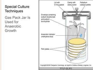 57
Special Culture
Techniques
Gas Pack Jar Is
Used for
Anaerobic
Growth
 