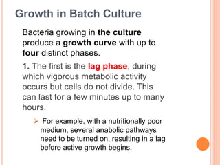 Bacteria growing in the culture
produce a growth curve with up to
four distinct phases.
1. The first is the lag phase, during
which vigorous metabolic activity
occurs but cells do not divide. This
can last for a few minutes up to many
hours.
 For example, with a nutritionally poor
medium, several anabolic pathways
need to be turned on, resulting in a lag
before active growth begins.
Growth in Batch Culture
 