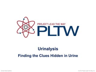 Urinalysis
© 2014 Project Lead The Way, Inc.
Human Body Systems
Finding the Clues Hidden in Urine
 