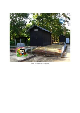 ภาพที่ 3 นาเข้ามาอบแสงอาทิตย์
 