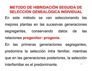 METODO DE HIBRIDACIÓN SEGUIDA DE
SELECCIÓN GENEALÓGICA INDIVIDUAL
En este método se van seleccionando las
mejores plantas en las sucesivas generaciones
segregantes, conservando datos de las
relaciones progenitor- progenie.
En las primeras generaciones segregantes,
predomina la selección intra familiar, mientras
que en las generaciones posteriores, la selección
interfamiliar es el predominante. 1/23
 