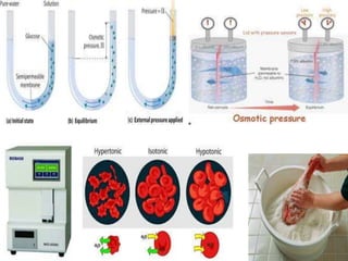 Fluids Activity Water activity | PPTX
