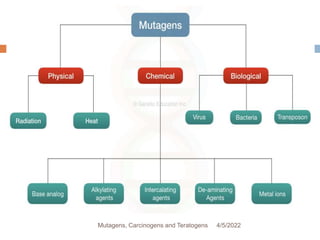12
4/5/2022
Mutagens, Carcinogens and Teratogens
 