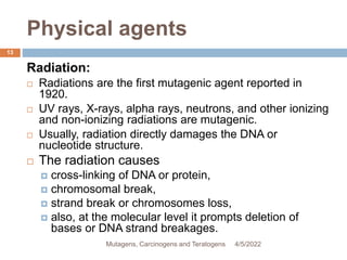 Physical agents
13
Radiation:
 Radiations are the first mutagenic agent reported in
1920.
 UV rays, X-rays, alpha rays, neutrons, and other ionizing
and non-ionizing radiations are mutagenic.
 Usually, radiation directly damages the DNA or
nucleotide structure.
 The radiation causes
 cross-linking of DNA or protein,
 chromosomal break,
 strand break or chromosomes loss,
 also, at the molecular level it prompts deletion of
bases or DNA strand breakages.
4/5/2022
Mutagens, Carcinogens and Teratogens
 