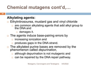 Chemical mutagens cont’d,…
20
Alkylating agents:
 Ethylnitrosourea, mustard gas and vinyl chloride
 are common alkylating agents that add alkyl group to
the DNA and
 damages it.
 The agents induce base-pairing errors by
 increasing ionization and
 produces gaps in the DNA strand.
 The alkylated purine bases are removed by the
phenomenon called depurination,
 although depurination is not mutagenic and
 can be repaired by the DNA repair pathway.
4/5/2022
Mutagens, Carcinogens and Teratogens
 
