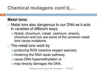 Chemical mutagens cont’d,…
23
Metal ions:
 Metal ions also dangerous to our DNA as it acts
in varieties of different ways.
 Nickel, chromium, cobalt, cadmium, arsenic,
chromium and iron are some of the common metal
ions cause mutations.
 The metal ions work by
 producing ROS (reactive oxygen species),
 hindering the DNA repair pathway,
 cause DNA hypermethylation or
 may directly damages the DNA.
4/5/2022
Mutagens, Carcinogens and Teratogens
 