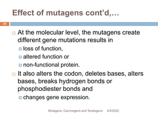 Effect of mutagens cont’d,…
29
 At the molecular level, the mutagens create
different gene mutations results in
 loss of function,
 altered function or
 non-functional protein.
 It also alters the codon, deletes bases, alters
bases, breaks hydrogen bonds or
phosphodiester bonds and
 changes gene expression.
4/5/2022
Mutagens, Carcinogens and Teratogens
 