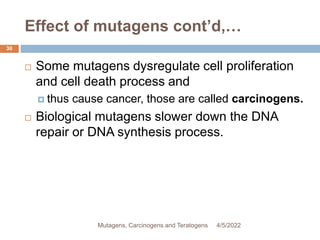 Effect of mutagens cont’d,…
30
 Some mutagens dysregulate cell proliferation
and cell death process and
 thus cause cancer, those are called carcinogens.
 Biological mutagens slower down the DNA
repair or DNA synthesis process.
4/5/2022
Mutagens, Carcinogens and Teratogens
 