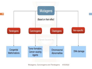 35
4/5/2022
Mutagens, Carcinogens and Teratogens
 