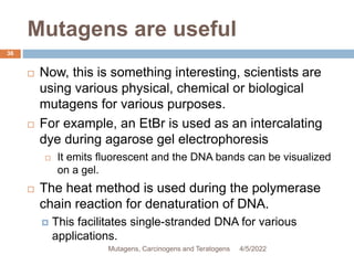 Mutagens are useful
36
 Now, this is something interesting, scientists are
using various physical, chemical or biological
mutagens for various purposes.
 For example, an EtBr is used as an intercalating
dye during agarose gel electrophoresis
 It emits fluorescent and the DNA bands can be visualized
on a gel.
 The heat method is used during the polymerase
chain reaction for denaturation of DNA.
 This facilitates single-stranded DNA for various
applications.
4/5/2022
Mutagens, Carcinogens and Teratogens
 