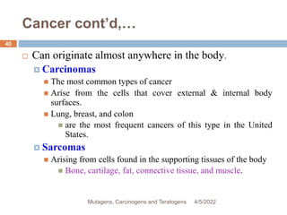 Cancer cont’d,…
 Can originate almost anywhere in the body.
 Carcinomas
 The most common types of cancer
 Arise from the cells that cover external & internal body
surfaces.
 Lung, breast, and colon
 are the most frequent cancers of this type in the United
States.
 Sarcomas
 Arising from cells found in the supporting tissues of the body
 Bone, cartilage, fat, connective tissue, and muscle.
4/5/2022
40
Mutagens, Carcinogens and Teratogens
 