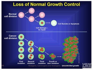 4/5/2022
49 Mutagens, Carcinogens and Teratogens
 