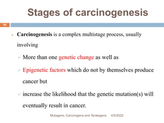 Stages of carcinogenesis
50
 Carcinogenesis is a complex multistage process, usually
involving
 More than one genetic change as well as
 Epigenetic factors which do not by themselves produce
cancer but
 increase the likelihood that the genetic mutation(s) will
eventually result in cancer.
4/5/2022
Mutagens, Carcinogens and Teratogens
 