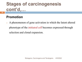 Stages of carcinogenesis
cont’d,…
53
Promotion
 A phenomenon of gene activation in which the latent altered
phenotype of the initiated cell becomes expressed through
selection and clonal expansion.
4/5/2022
Mutagens, Carcinogens and Teratogens
 