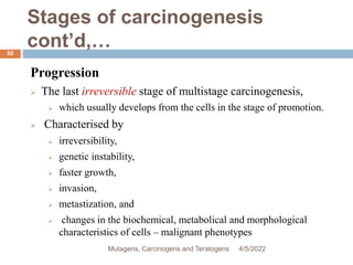 Stages of carcinogenesis
cont’d,…
55
Progression
 The last irreversible stage of multistage carcinogenesis,
 which usually develops from the cells in the stage of promotion.
 Characterised by
 irreversibility,
 genetic instability,
 faster growth,
 invasion,
 metastization, and
 changes in the biochemical, metabolical and morphological
characteristics of cells – malignant phenotypes
4/5/2022
Mutagens, Carcinogens and Teratogens
 