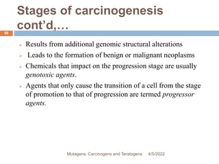 Stages of carcinogenesis
cont’d,…
56
 Results from additional genomic structural alterations
 Leads to the formation of benign or malignant neoplasms
 Chemicals that impact on the progression stage are usually
genotoxic agents.
 Agents that only cause the transition of a cell from the stage
of promotion to that of progression are termed progressor
agents.
4/5/2022
Mutagens, Carcinogens and Teratogens
 