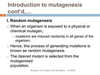 Introduction to mutagenesis
cont’d,…
6
I. Random mutagenesis
 When an organism is exposed to a physical or
chemical mutagen,
 mutations are induced randomly in all genes of the
organism.
 Hence, this process of generating mutations is
known as random mutagenesis.
 The desired mutant is selected from the
mutagenised
population.
4/5/2022
Mutagens, Carcinogens and Teratogens
 