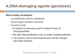 A.DNA-damaging agents (genotoxic)
63
Direct acting carcinogens
 are intrinsically reactive compounds
 do not require metabolic activation
 Examples include
 N-methyl-N-nitrosourea and N-methyl-N-nitro-N-
nitrosoguanidine;
 the alkyl alkanesulfonates such as methyl methanesulfonate;
 the lactones such as beta propiolactone and the nitrogen
and sulfur mustards.
4/5/2022
Mutagens, Carcinogens and Teratogens
 