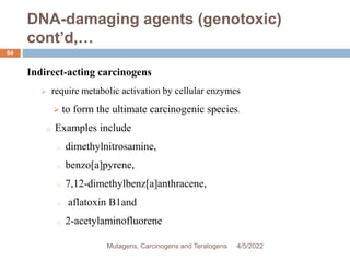 DNA-damaging agents (genotoxic)
cont’d,…
64
Indirect-acting carcinogens
 require metabolic activation by cellular enzymes
 to form the ultimate carcinogenic species.
o Examples include
o dimethylnitrosamine,
o benzo[a]pyrene,
o 7,12-dimethylbenz[a]anthracene,
o aflatoxin B1and
o 2-acetylaminofluorene
4/5/2022
Mutagens, Carcinogens and Teratogens
 
