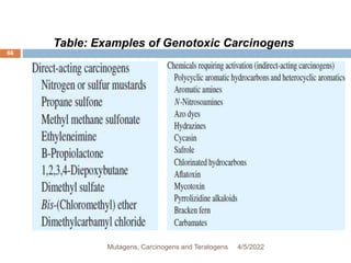 66
Table: Examples of Genotoxic Carcinogens
4/5/2022
Mutagens, Carcinogens and Teratogens
 
