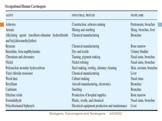 75
4/5/2022
Mutagens, Carcinogens and Teratogens
 