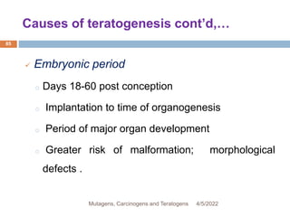 Causes of teratogenesis cont’d,…
85
 Embryonic period
o Days 18-60 post conception
o Implantation to time of organogenesis
o Period of major organ development
o Greater risk of malformation; morphological
defects .
4/5/2022
Mutagens, Carcinogens and Teratogens
 