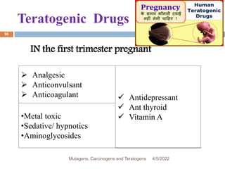 Teratogenic Drugs
98
 Analgesic
 Anticonvulsant
 Anticoagulant  Antidepressant
 Ant thyroid
 Vitamin A
•Metal toxic
•Sedative/ hypnotics
•Aminoglycosides
IN the first trimester pregnant
4/5/2022
Mutagens, Carcinogens and Teratogens
 