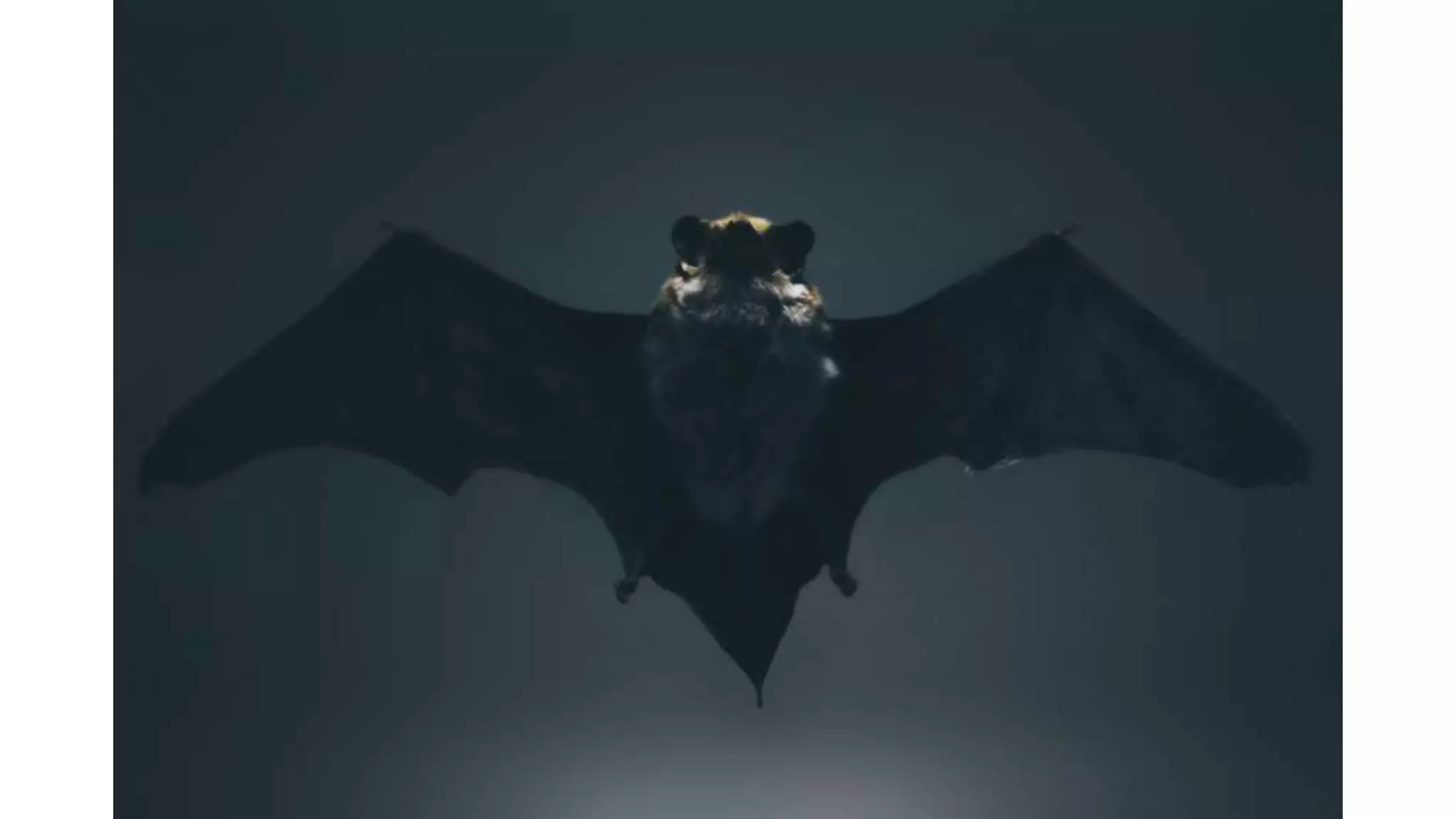 3.Arduino projects.pptx