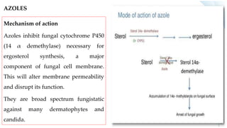 AZOLES
Mechanism of action
Azoles inhibit fungal cytochrome P450
(14 α demethylase) necessary for
ergosterol synthesis, a major
component of fungal cell membrane.
This will alter membrane permeability
and disrupt its function.
They are broad spectrum fungistatic
against many dermatophytes and
candida.
 