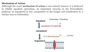 Mechanism of Action:
Although the exact mechanism of action is not entirely known, it is believed
to inhibit squalene epoxidase, an important enzyme in the biosynthetic
pathway of ergosterol (a key component of the fungal cell membrane) in a
similar way to terbinafine.
 