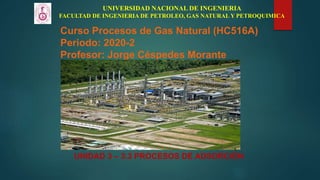 Curso Procesos de Gas Natural (HC516A)
Periodo: 2020-2
Profesor: Jorge Céspedes Morante
UNIDAD 3 – 3.3 PROCESOS DE ADSORCIÓN
UNIVERSIDAD NACIONAL DE INGENIERIA
FACULTAD DE INGENIERIA DE PETROLEO, GAS NATURAL Y PETROQUIMICA
 