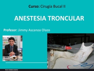 ANESTESIA TRONCULAR
Curso: Cirugía Bucal II
Profesor: Jimmy Ascanoa Olazo
 