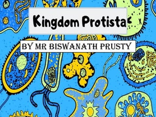 By Mr Biswanath prusty
 