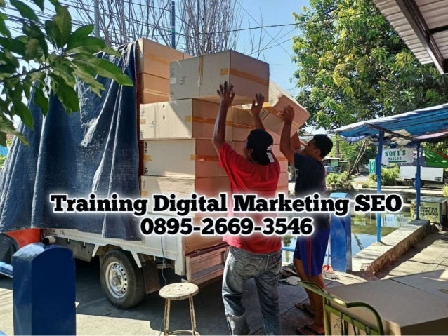 0895-2669-3546 | Privat Digital Marketing