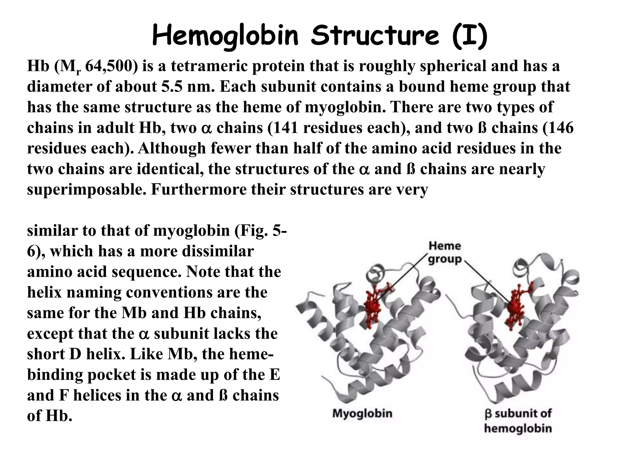 3.Hemoglobin and myoglobin structure and function.ppt