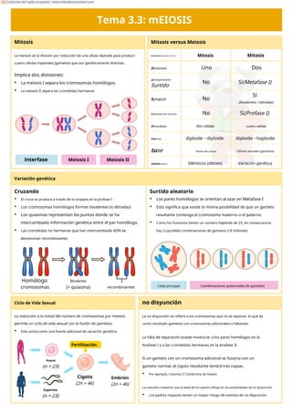 Tema 3.3: mEIOSIS
Mitosis Mitosis versus Meiosis
La meiosis es la división por reducción de una célula diploide para producir
cuatro células haploides (gametos) que son genéticamente distintas.
Insinuación:doguillo discoteca Mitosis Mitosis
Dvisiones Uno Dos
Implica dos divisiones:
• La meiosis I separa los cromosomas homólogos.
• La meiosis II separa las cromátidas hermanas
yoindependiente
Surtido
No Sí(Metafase I)
Sí
(bivalentes / tétradas)
Synapsis No
Cpasando por encima No Sí(Profase I)
Oresultado dos celdas cuatro celdas
PAGloidía diploide→diploide diploide→haploide
tuse Células del cuerpo Células sexuales (gametos)
interfase Meiosis I Meiosis II
GRAMOenética Idénticos (clones) Variación genética
Variación genética
Cruzando
• El cruce se produce a través de la sinapsis en la profase I
• Los cromosomas homólogos forman bivalentes (o tétradas)
• Los quiasmas representan los puntos donde se ha
intercambiado información genética entre el par homólogo.
• Las cromátidas no hermanas que han intercambiado ADN se
denominan recombinantes.
Surtido aleatorio
• Los pares homólogos se orientan al azar en Metafase I
• Esto significa que existe la misma posibilidad de que un gameto
resultante contenga el cromosoma materno o el paterno.
• Como los humanos tienen un número haploide de 23, en consecuencia
hay 223posibles combinaciones de gametos (>8 millones)
Homólogo
cromosomas
Bivalente
(+ quiasma) recombinantes Celda principal Combinaciones potenciales de gametos
Ciclo de Vida Sexual no disyunción
La reducción a la mitad del número de cromosomas por meiosis
permite un ciclo de vida sexual con la fusión de gametos.
• Esto actúa como una fuente adicional de variación genética.
La no disyunción se refiere a los cromosomas que no se separan, lo que da
como resultado gametos con cromosomas adicionales o faltantes.
La falta de separación puede involucrar a los pares homólogos en la
Anafase I o a las cromátidas hermanas en la Anafase II.
Fertilización
Huevo
(n = 23)
Si un gameto con un cromosoma adicional se fusiona con un
gameto normal, el cigoto resultante tendrá tres copias.
• Por ejemplo, trisomía 21 (síndrome de Down)
Cigoto
(2n = 46)
Embrión
(2n = 46)
Esperma
(n = 23)
Los estudios muestran que la edad de los padres influye en las posibilidades de no disyunción
• Los padres mayores tienen un mayor riesgo de eventos de no disyunción
Traducido del inglés al español - www.onlinedoctranslator.com
 