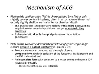 Mechanism of ACG
• Plateau iris configuration (PIC) is characterized by a flat or only
slightly convex central iris plane, often in association with normal
or only slightly shallow central anterior chamber depth.
– The angle recess is typically very narrow, with a sharp backward iris
angulation over anteriorly positioned and/or orientated ciliary
processes.
– A characteristic ‘double hump’ sign is seen on indentation
gonioscopy,
• Plateau iris syndrome describesthepersistenceof gonioscopic angle
closure despite a patent iridotomy in plateau iris;
– Provocative test can demonstrate the angle closure.
– Complete form in which occlusion of the functional TM is present and
the IOP is elevated, and
– An incomplete form with occlusion to a lesser extent and normal IOP.
– Reversal of PIC ACG
• Chronic miotic therapy / laser iridoplasty.
 