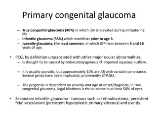 Primary congenital glaucoma
– True congenital glaucoma (40%) in which IOP is elevated during intrauterine
life.
– Infantile glaucoma (55%) which manifests prior to age 3.
– Juvenile glaucoma, the least common, in which IOP rises between 3 and 16
years of age.
• PCG, by definition unassociated with other major ocular abnormalities,
– is thought to be caused by trabeculodysgenesis  impaired aqueous outflow .
– It is usually sporadic, but approximately 10% are AR with variable penetrance.
Several genes have been implicated, prominently CYP1B1.
– The prognosis is dependent on severity and age at onset/diagnosis; in true
congenital glaucoma, legal blindness is the outcome in at least 50% of eyes.
• Secondary infantile glaucoma - tumours such as retinoblastoma, persistent
fetal vasculature (persistent hyperplastic primary vitreous) and uveitis.
 