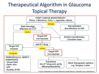 Therapeutical Algorithm in Glaucoma
Topical Therapy
4-8 wks
3-6 months
4-8 wks
4-8 wks
 