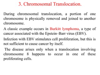 3. Chromosomal Translocation.
During chromosomal translocation, a portion of one
chromosome is physically removed and joined to another
chromosome.
A classic example occurs in Burkitt lymphoma, a type of
cancer associated with the Epstein–Barr virus (EBV).
Infection with EBV stimulates cell proliferation, but this is
not sufficient to cause cancer by itself.
The disease arises only when a translocation involving
chromosome 8 happens to occur in one of these
proliferating cells.
 