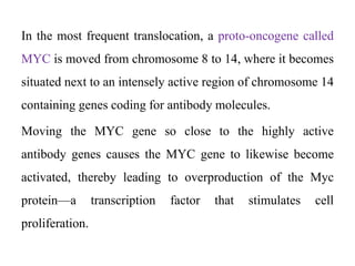 In the most frequent translocation, a proto-oncogene called
MYC is moved from chromosome 8 to 14, where it becomes
situated next to an intensely active region of chromosome 14
containing genes coding for antibody molecules.
Moving the MYC gene so close to the highly active
antibody genes causes the MYC gene to likewise become
activated, thereby leading to overproduction of the Myc
protein—a transcription factor that stimulates cell
proliferation.
 