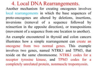 4. Local DNA Rearrangements.
Another mechanism for creating oncogenes involves
local rearrangements in which the base sequences of
proto-oncogenes are altered by deletions, insertions,
inversions (removal of a sequence followed by
reinsertion in the opposite direction), or transpositions
(movement of a sequence from one location to another).
An example encountered in thyroid and colon cancers
illustrates how a simple rearrangement can create an
oncogene from two normal genes. This example
involves two genes, named NTRK1 and TPM3, that
reside on the same chromosome. NTRK1 codes for a
receptor tyrosine kinase, and TPM3 codes for a
completely unrelated protein, nonmuscle tropomyosin.
 