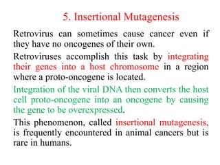 5. Insertional Mutagenesis
Retrovirus can sometimes cause cancer even if
they have no oncogenes of their own.
Retroviruses accomplish this task by integrating
their genes into a host chromosome in a region
where a proto-oncogene is located.
Integration of the viral DNA then converts the host
cell proto-oncogene into an oncogene by causing
the gene to be overexpressed.
This phenomenon, called insertional mutagenesis,
is frequently encountered in animal cancers but is
rare in humans.
 