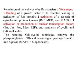 Regulation of the cell cycle by Ras consists of four steps:
1 Binding of a growth factor to its receptor, leading to
activation of Ras protein; 2 activation of a cascade of
cytoplasmic protein kinases (Raf, MEK, and MAPK); 3
activation or production of nuclear transcription factors
(Ets, Jun, Fos, Myc, E2F); and synthesis of cyclin and
Cdk molecules.
The resulting Cdk-cyclin complexes catalyze the
phosphorylation of Rb and hence trigger passage from G1
into S phase (MAPK = Map kinases).
 