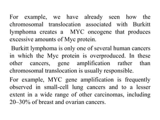 For example, we have already seen how the
chromosomal translocation associated with Burkitt
lymphoma creates a MYC oncogene that produces
excessive amounts of Myc protein.
Burkitt lymphoma is only one of several human cancers
in which the Myc protein is overproduced. In these
other cancers, gene amplification rather than
chromosomal translocation is usually responsible.
For example, MYC gene amplification is frequently
observed in small-cell lung cancers and to a lesser
extent in a wide range of other carcinomas, including
20–30% of breast and ovarian cancers.
 