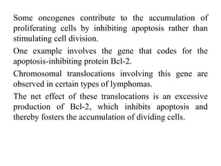 Some oncogenes contribute to the accumulation of
proliferating cells by inhibiting apoptosis rather than
stimulating cell division.
One example involves the gene that codes for the
apoptosis-inhibiting protein Bcl-2.
Chromosomal translocations involving this gene are
observed in certain types of lymphomas.
The net effect of these translocations is an excessive
production of Bcl-2, which inhibits apoptosis and
thereby fosters the accumulation of dividing cells.
 