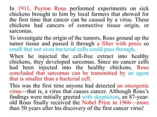 In 1911, Peyton Rous performed experiments on sick
chickens brought to him by local farmers that showed for
the first time that cancer can be caused by a virus. These
chickens had cancers of connective tissue origin, or
sarcomas.
To investigate the origin of the tumors, Rous ground up the
tumor tissue and passed it through a filter with pores so
small that not even bacterial cells could pass through.
When he injected the cell-free extract into healthy
chickens, they developed sarcomas. Since no cancer cells
had been injected into the healthy chickens, Rous
concluded that sarcomas can be transmitted by an agent
that is smaller than a bacterial cell.
This was the first time anyone had detected an oncogenic
virus—that is, a virus that causes cancer. Although Rous’s
findings were initially greeted with skepticism, an 87-year-
old Rous finally received the Nobel Prize in 1966—more
than 50 years after his discovery of the first cancer virus!
 