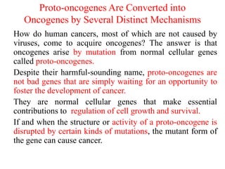 Proto-oncogenes Are Converted into
Oncogenes by Several Distinct Mechanisms
How do human cancers, most of which are not caused by
viruses, come to acquire oncogenes? The answer is that
oncogenes arise by mutation from normal cellular genes
called proto-oncogenes.
Despite their harmful-sounding name, proto-oncogenes are
not bad genes that are simply waiting for an opportunity to
foster the development of cancer.
They are normal cellular genes that make essential
contributions to regulation of cell growth and survival.
If and when the structure or activity of a proto-oncogene is
disrupted by certain kinds of mutations, the mutant form of
the gene can cause cancer.
 