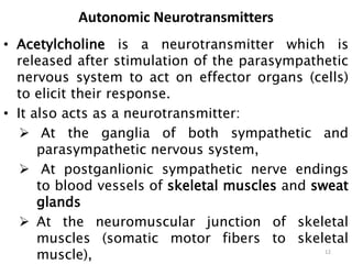 • Acetylcholine is a neurotransmitter which is
released after stimulation of the parasympathetic
nervous system to act on effector organs (cells)
to elicit their response.
• It also acts as a neurotransmitter:
 At the ganglia of both sympathetic and
parasympathetic nervous system,
 At postganlionic sympathetic nerve endings
to blood vessels of skeletal muscles and sweat
glands
 At the neuromuscular junction of skeletal
muscles (somatic motor fibers to skeletal
muscle), 12
Autonomic Neurotransmitters
 