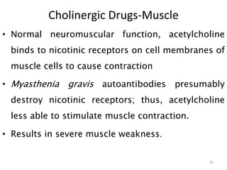Cholinergic Drugs-Muscle
• Normal neuromuscular function, acetylcholine
binds to nicotinic receptors on cell membranes of
muscle cells to cause contraction
• Myasthenia gravis autoantibodies presumably
destroy nicotinic receptors; thus, acetylcholine
less able to stimulate muscle contraction.
• Results in severe muscle weakness.
26
 